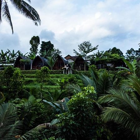 Omah Bapak Ijen Eco House Hotel Licin Exterior photo