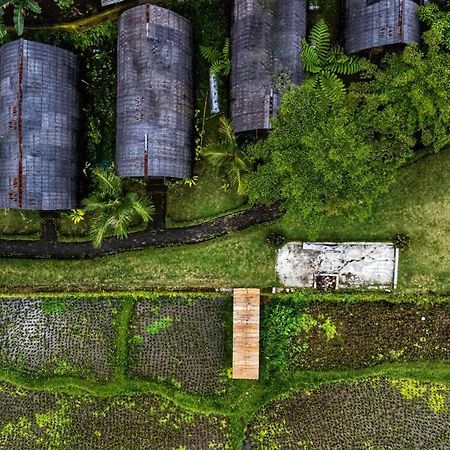 Omah Bapak Ijen Eco House Hotel Licin Exterior photo