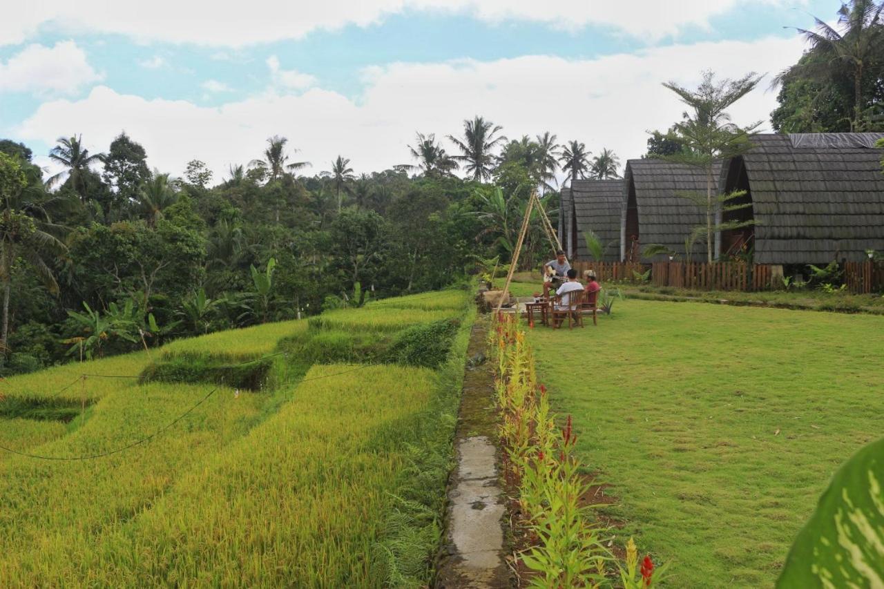 Omah Bapak Ijen Eco House Hotel Licin Exterior photo