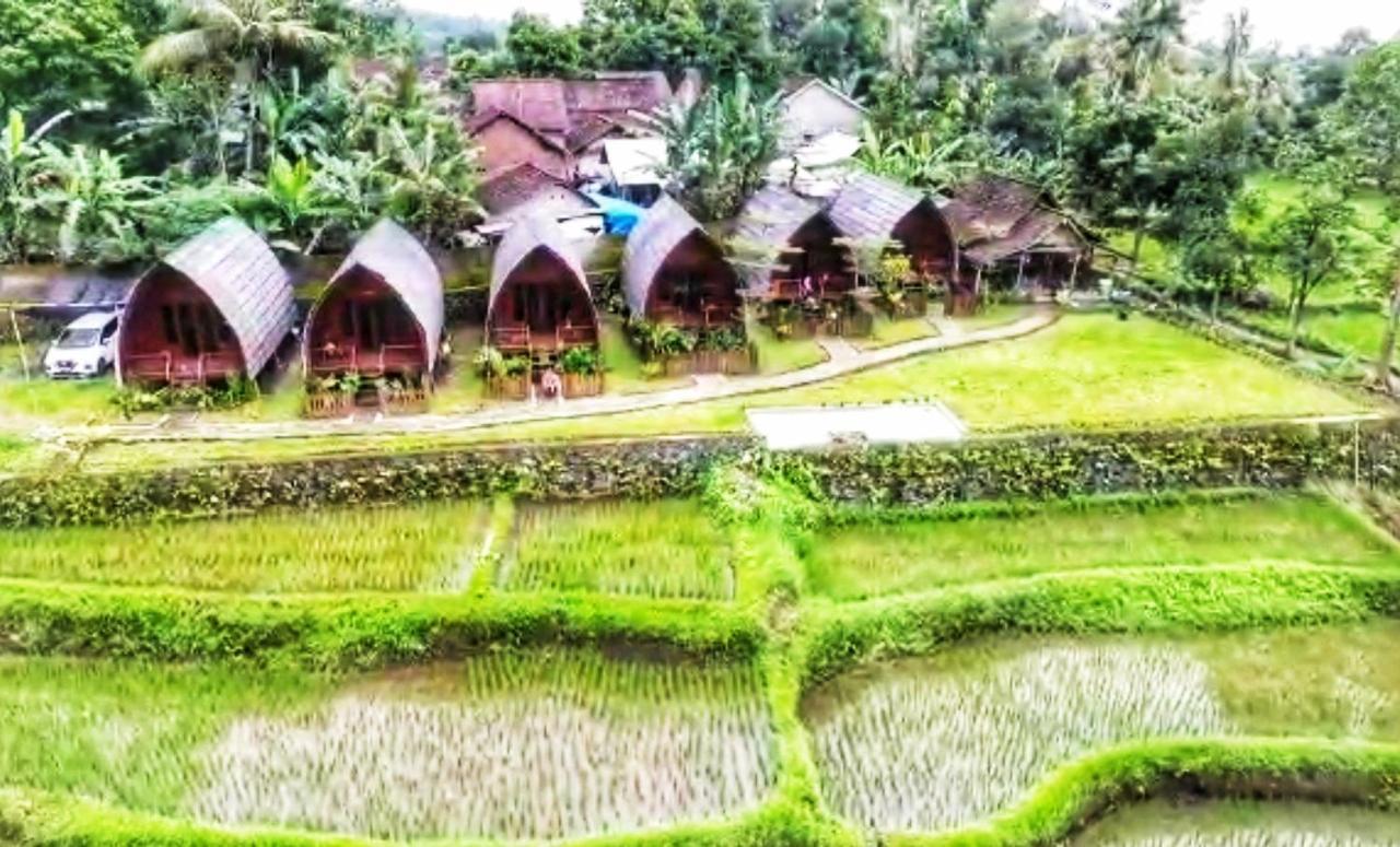 Omah Bapak Ijen Eco House Hotel Licin Exterior photo