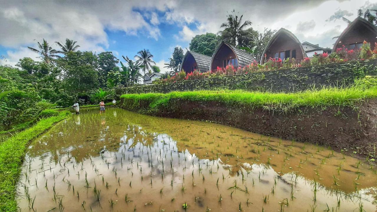 Omah Bapak Ijen Eco House Hotel Licin Exterior photo