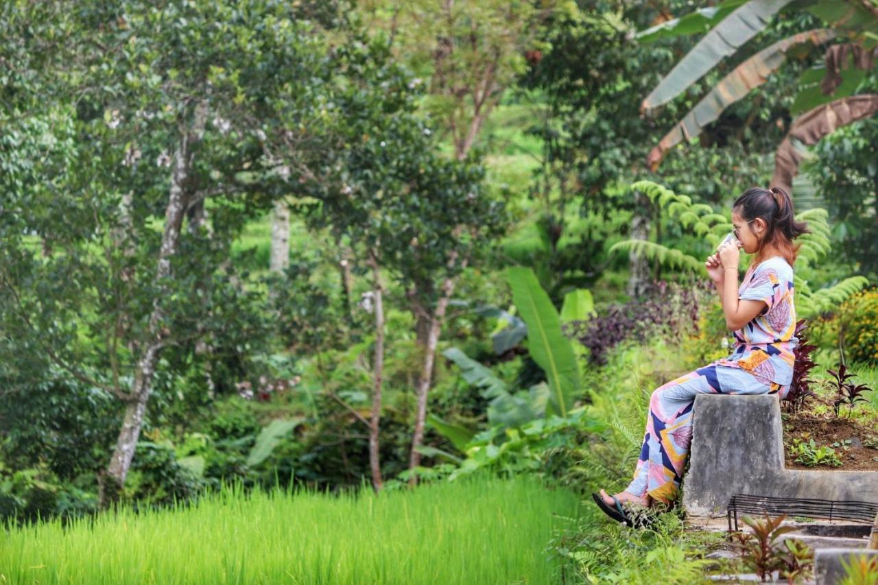 Omah Bapak Ijen Eco House Hotel Licin Exterior photo