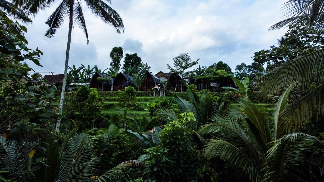 Omah Bapak Ijen Eco House Hotel Licin Exterior photo