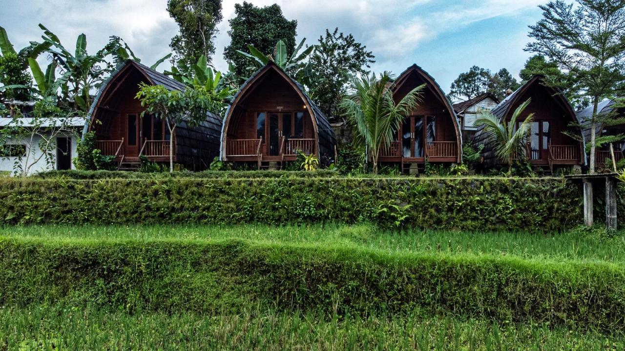 Omah Bapak Ijen Eco House Hotel Licin Exterior photo